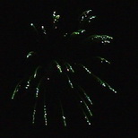 Green strobe willow